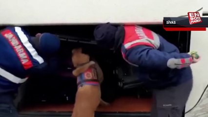 Sivas'ta İranlı yolcunun valizinden uyuşturucu çıktı