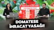 Domates İhracatına Yasak! Türkiye Halciler Federasyonu Başkanı Üreticiye Etkisini Tek Tek Anlattı