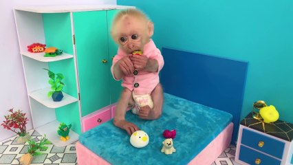 Baby Monkey Bu Bu doing shopping in Kinder Joy eggs store and eat Chocolate with the puppy