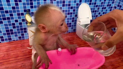 Baby Monkey Bu Bu bath in the bathtub and eat watermelon and duckling So cute