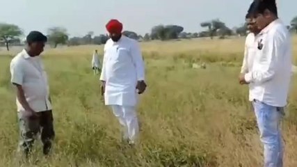 मंदसौर: कैबिनेट मंत्री पहुंचे किसान के खेत में, बोली यह बड़ी बात,देखे खबर
