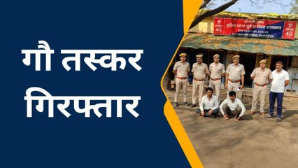 झालरापाटन: पुलिस के हत्थे चढ़े गौ तस्कर, 7 गोवंश को कराया मुक्त, देखें बड़ी खबर