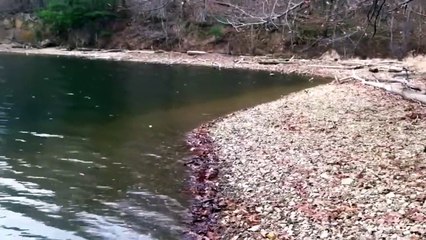 10 Strange Things Found Washed Up On Beaches