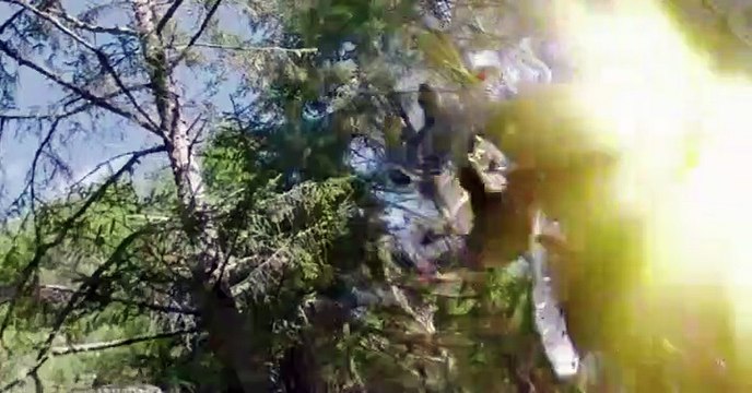 Power Rangers Super Ninja Steel Power Rangers Super Ninja Steel E008 – Caught Red Handed