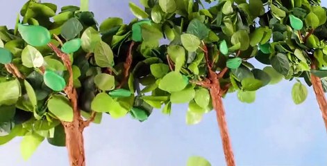 Ask the StoryBots S01 E02: Fun Facts & Answers to Kids' Questions 🤔