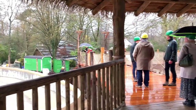 Bellewaerde - Nouvelle savane pour girafes et zèbres