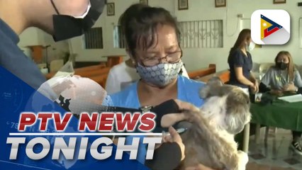 DOH: 200-300 Filipinos die due to rabies annually