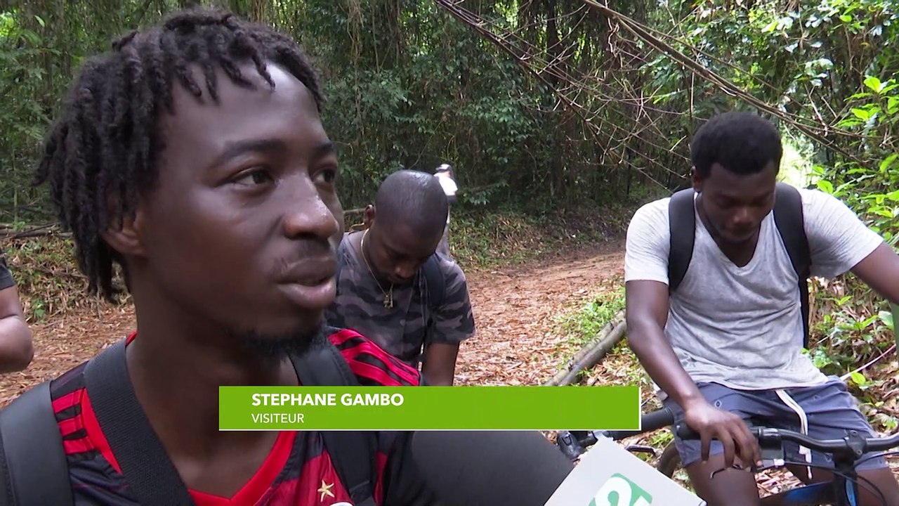 Excursion au Parc national du Banco, la toute première aire protégée de la Côte d'Ivoire (Escale 225)