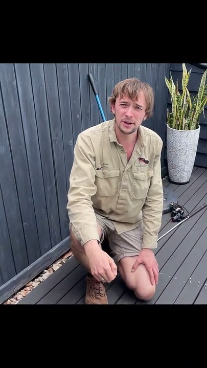 Regardez ce qu'il sort de sous cette terrasse... un beau python géant