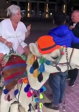 Petit tour à dos de chameau qui va faire mal au dos