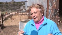 La sequía lleva al límite a agricultores y ganaderos en el norte de Córdoba