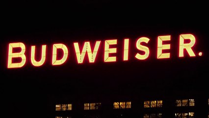 Budweiser Brewery Factory Tour St. Louis Anheuser-Busch