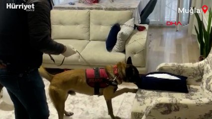 Muğla'da 10 adrese eş zamanlı 'uyuşturucu' operasyonunda 8 gözaltı