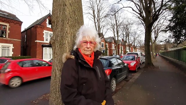 Sheffield tree protester reacts to independent inquiry report criticisms of Sheffield Council