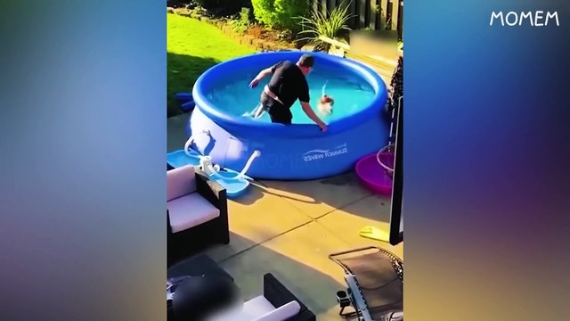 you laugh, Videos virales de risas