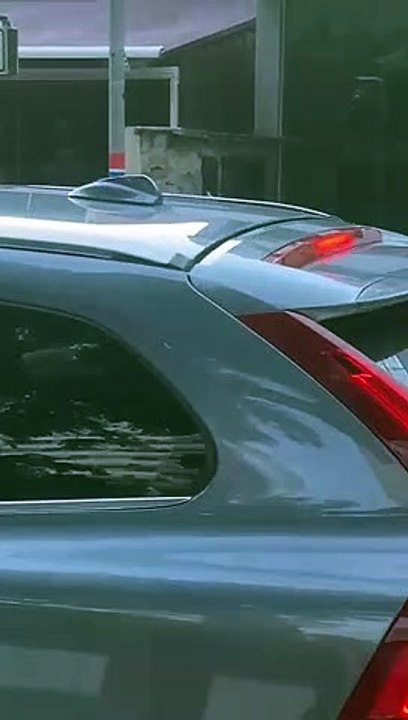 Cobra é flagrada em faixa de pedestres de área nobre de Florianópolis