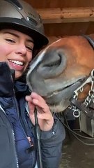 Blind Horse Kisses
