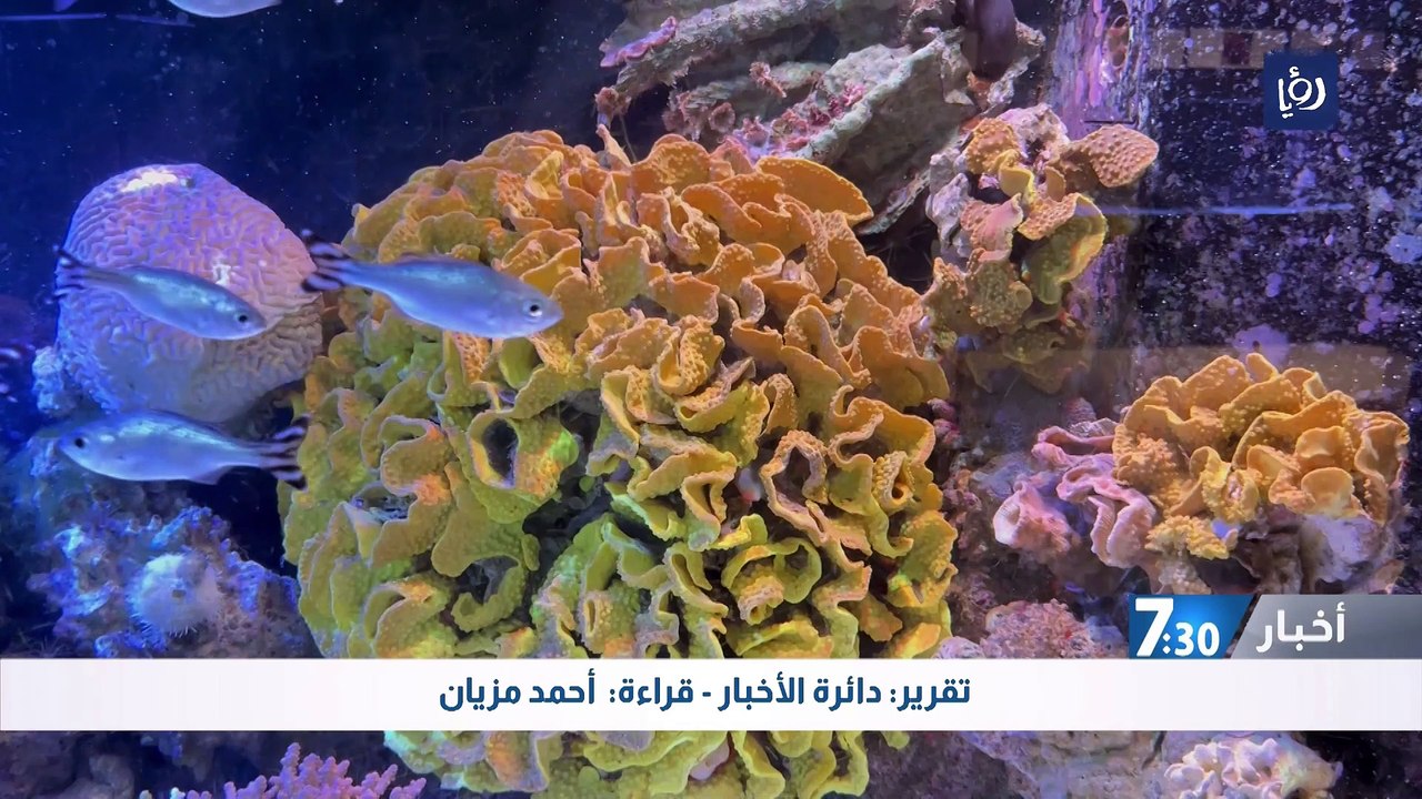 خبراء يحذرون من تآكل الشعب المرجانية