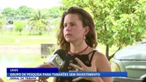 Grupo de pesquisa para tubarões sem investimento