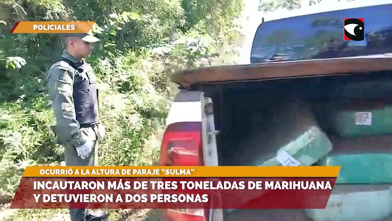 Incautaron más de tres toneladas de cannabis sativa y detuvieron a dos personas