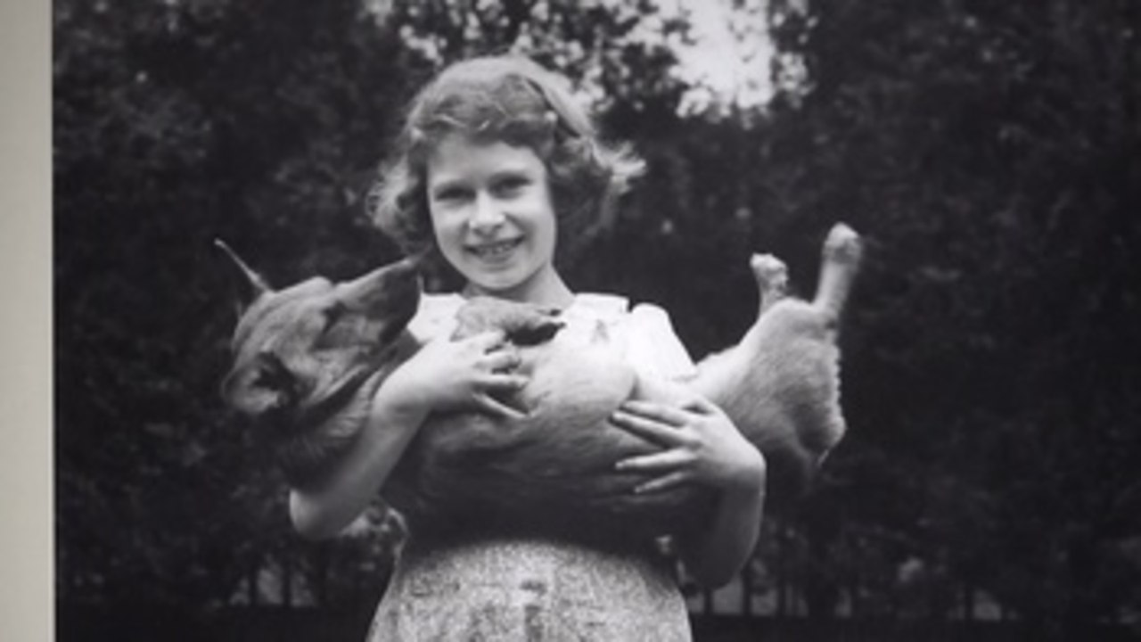 Isabel II y los corgis, una relación "apasionada" de 90 años en fotografías