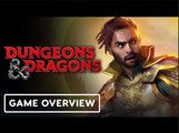 Dungeons & Dragons | Official  Honor Among Thieves  Gallery Overview