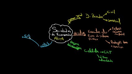 Sociedades de economia mista | Direito Administrativo
