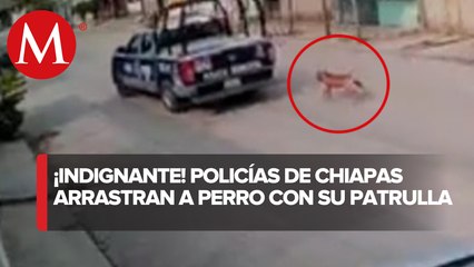 Captan a policías arrastrando a un perro amarrado a la patrulla; Chiapas