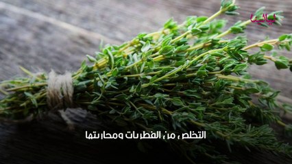 فوائد الزعتر البري واضراره