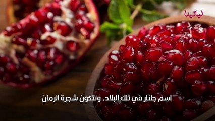 فوائد الرمان للحامل والجنين