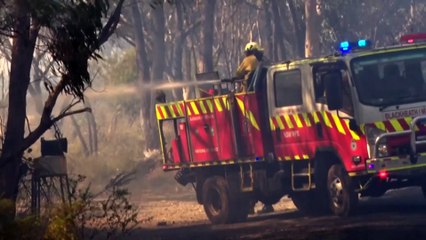 RFS works to control blaze in Tambaroora in Central West