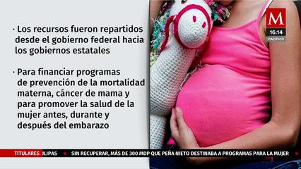 Sin recuperar, más de 300 mdp que Peña Nieto destinaba a programas para la mujer