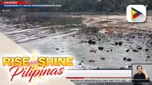 Mga dalampasigan at lamang-dagat sa karagatan ng Oriental Mindoro, nabalot ng tumagas na langis