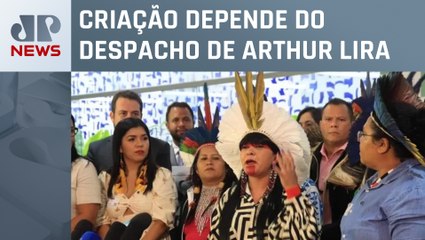 Parlamentares defendem criação de frente em defesa dos povos indígenas