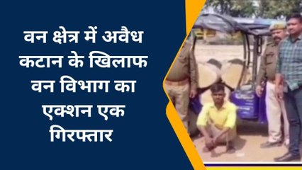 चंदौली में होली पर वन माफियाओं के खिलाफ एक्शन में वन विभाग टीम , एक गिरफ्तार