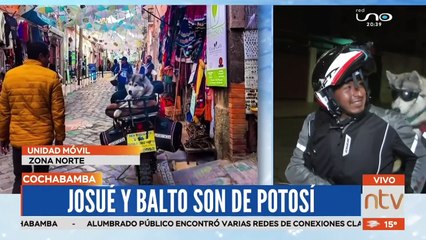 Balto, el perro motoquero que desde hace dos años viaja por el país