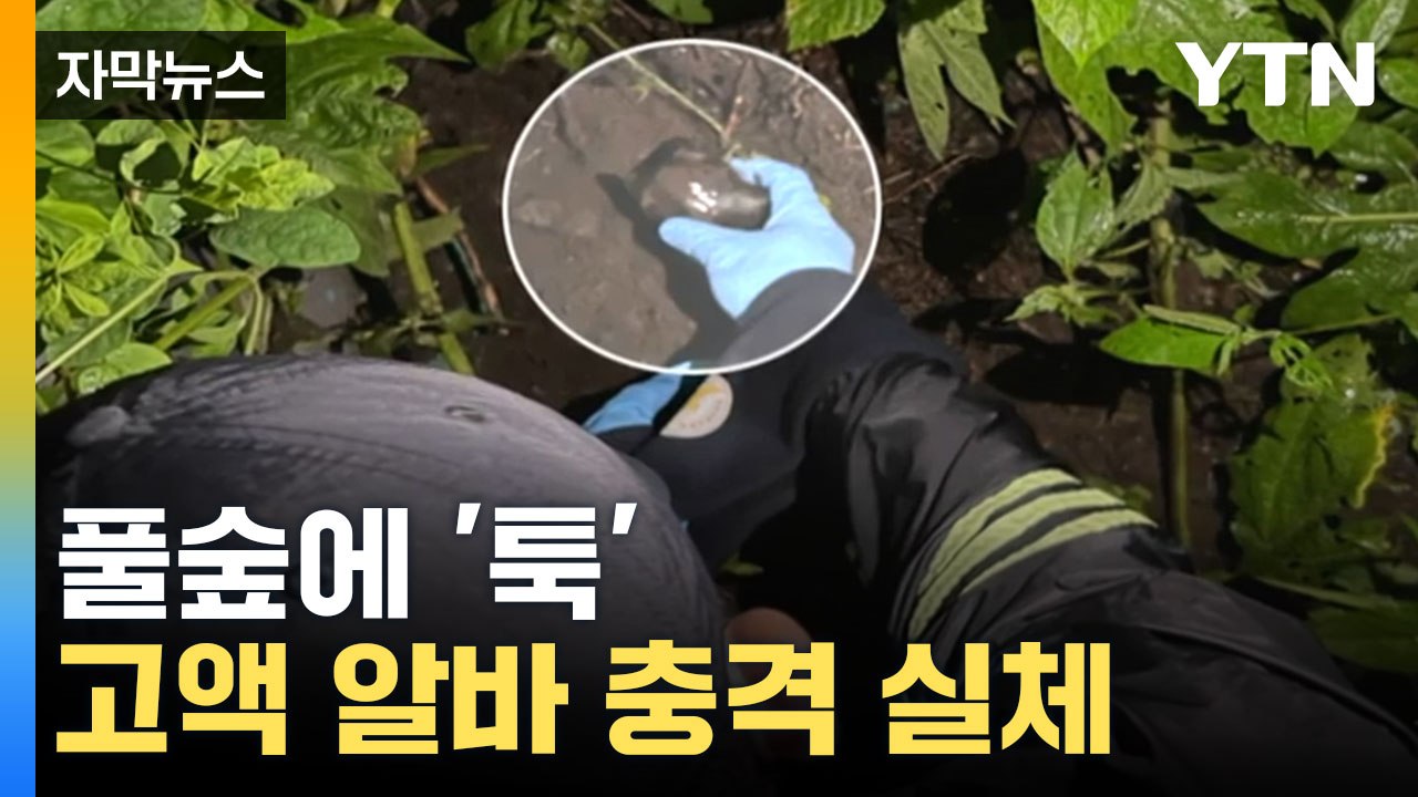 [자막뉴스] 10대도 참여한 '고액 알바', 경찰에 무더기로 잡혔다 / YTN