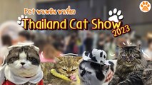 Pet พาเพลิน พาเที่ยวงาน Thailand Cat Show 2023