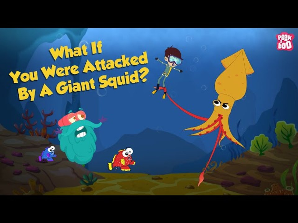 What If You Were Attacked By A Giant Squid? | Squid Attack | The Dr Binocs Show | Peekaboo Kidz