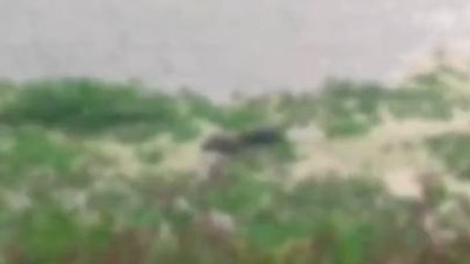 সাতসকালে অজ্ঞাত পরিচয় মৃতদেহ উদ্ধার