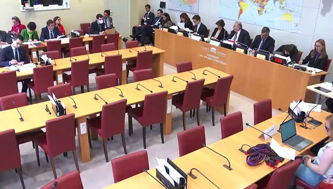 Commission des affaires étrangères : Mme Catherine Colonna, ministre de l’Europe et des affaires étrangères - Mardi 7 mars 2023