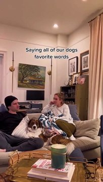 Ils disent tous les mots magiques devant leur chien : réaction incroyable