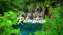 Peaceful Relaxing Music - Soothing Instrumental Music, Stress Relief, Claming Music, Sleep Music
