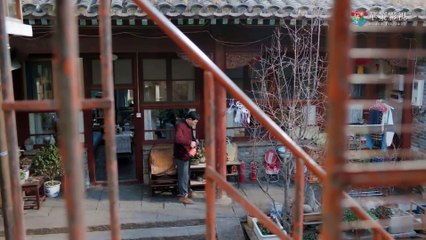Mr. Fighting -  Ep 25 A Chinese Drama Movie Overcoming Adversity and Finding Love Starring Deng Lun and Sandra Ma