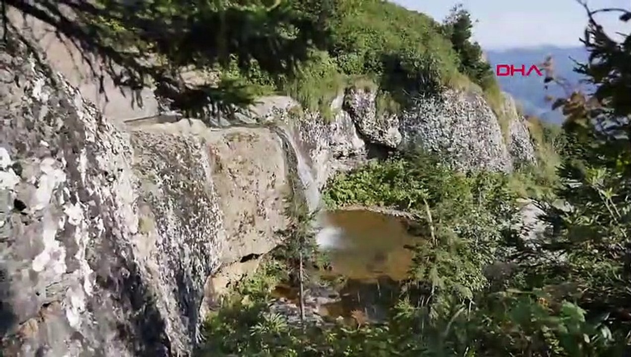 Türkiye'nin yeşil cenneti, adım adım cehenneme dönüyor! Kritik uyarı geldi