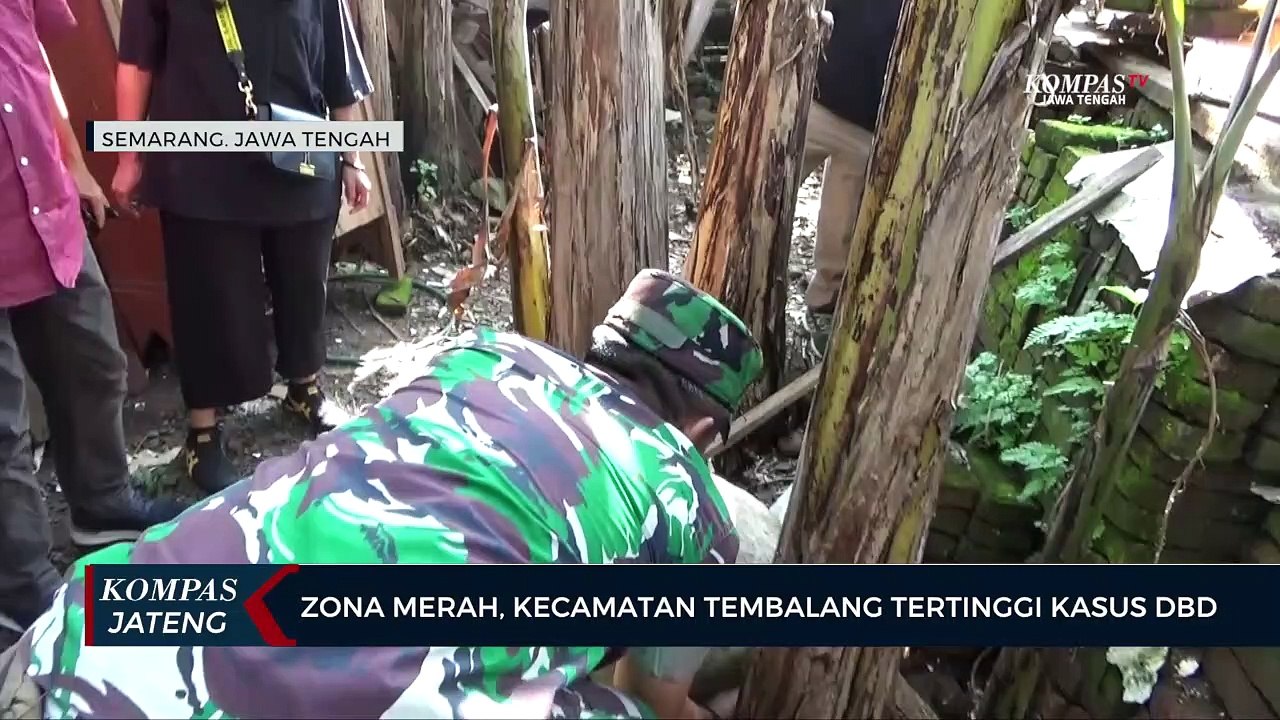 Zona Merah, Kecamatan Tembalang Tertinggi Kasus DBD