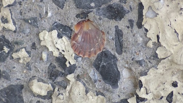 İstanbul’da tedirgin eden görüntü…