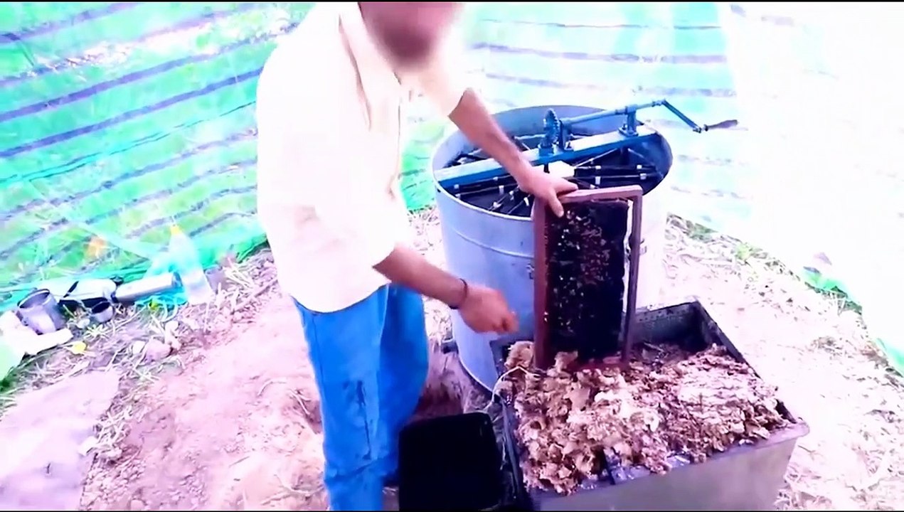 The sour reality about the honey business!