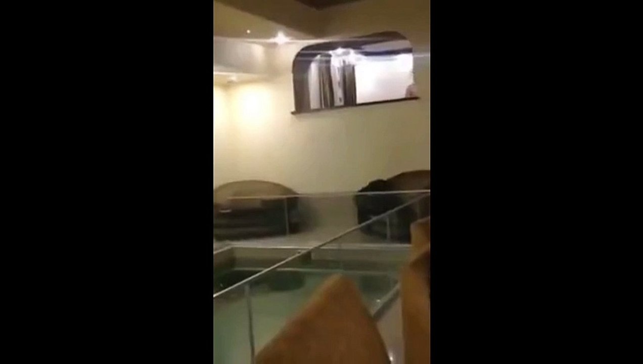 Un plongeon spectaculaire... mais douloureux