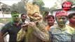 बिहार : RJD नेता तेज प्रताप यादव ने खेली लट्ठमार होली , बजाई बांसुरी; देखें वीडियो